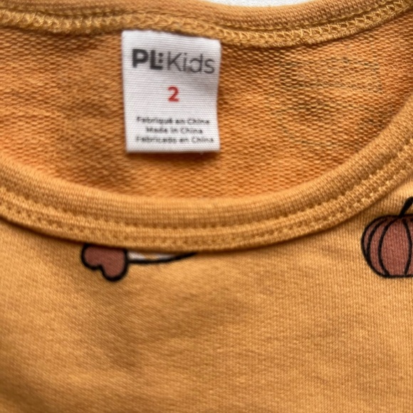 🎃☕️ PSL Petit Lem PL baby Pumpkin Spice Latte Girls Size 2T Jersey dress - Picture 3 of 7